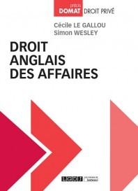 Cover of the book DROIT ANGLAIS DES AFFAIRES