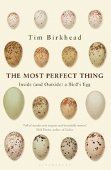 Cover of the book The Most Perfect Thing 
