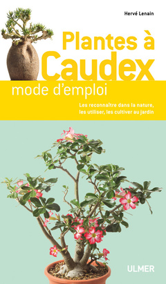 Cover of the book Plantes à caudex de A à Z