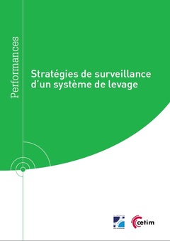 Cover of the book Stratégies de surveillance d'un système de levage (Réf : 9Q292)