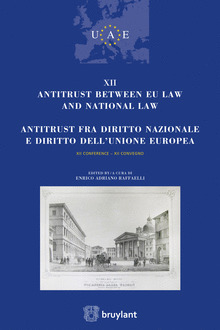 Cover of the book Antitrust between EU law and National law - Tome 13