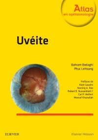 Cover of the book Uvéite