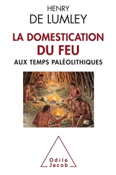 Couverture de l’ouvrage La domestication du feu aux temps paléolithiques