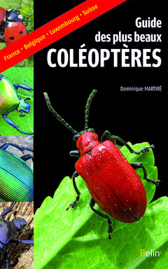 Couverture de l’ouvrage Guide des plus beaux coléoptères
