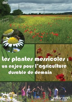 Couverture de l’ouvrage Les plantes messicoles : un enjeu pour l'agriculture durable de demain