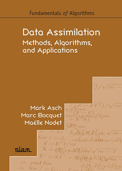 Cover of the book Data Assimilation