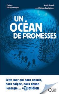 Couverture de l’ouvrage Un océan de promesses