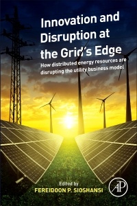 Cover of the book Innovation and Disruption at the Grid’s Edge