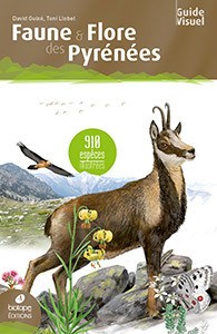 Couverture de l’ouvrage Faune & flore des Pyrénées