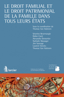 Cover of the book Le droit familial et le droit patrimonial de la famille dans tous leurs états