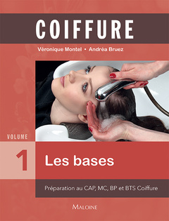 Cover of the book Coiffure