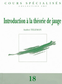 Couverture de l’ouvrage Introduction à la théorie de Jauge