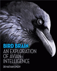 Couverture de l’ouvrage Bird Brain /anglais