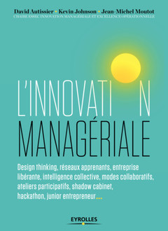 Cover of the book L'innovation managériale