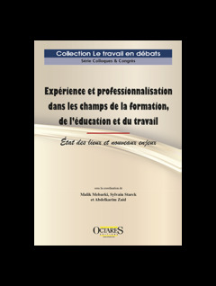 Couverture de l’ouvrage Expérience et professionnalisation dans les champs de la formation, de l'éducation et du travail
