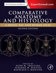 Couverture de l’ouvrage Comparative Anatomy and Histology