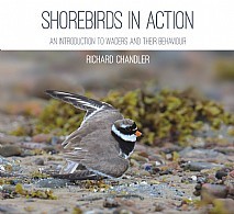 Couverture de l’ouvrage Shorebirds in Action 