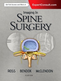 Cover of the book Imaging in Spine Surgery