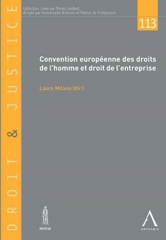 Couverture de l’ouvrage CONVENTION EUROPÉENNE DES DROITS DE L'HOMME ET DROIT DE L'ENTREPRISE