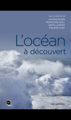 Cover of the book L'océan à découvert