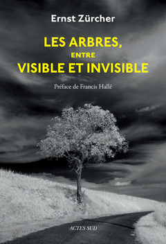 Cover of the book Les Arbres, entre visible et invisible
