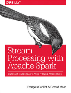 Couverture de l’ouvrage Learning Spark Streaming