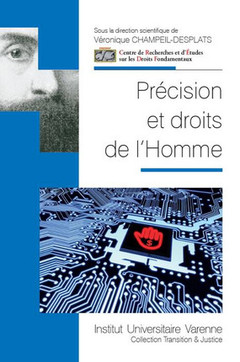 Cover of the book PRECISION ET DROITS DE L HOMME