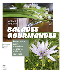 Couverture de l’ouvrage Balades gourmandes