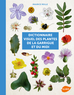 Cover of the book Dictionnaire visuel des plantes de la garrigue et