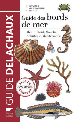 Cover of the book Guide des bords de mer