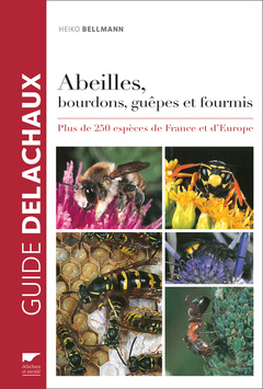Cover of the book Abeilles, bourdons, guêpes et fourmis