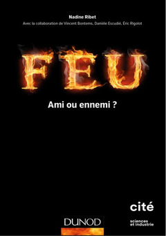 Cover of the book Feu - Ami ou ennemi ?