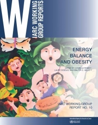 Couverture de l’ouvrage Energy balance and obesity 