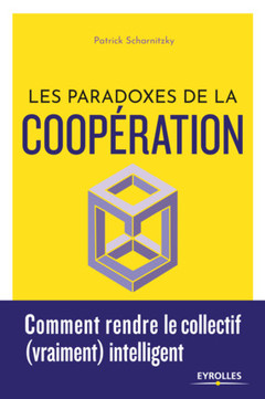 Couverture de l’ouvrage Les paradoxes de la coopération
