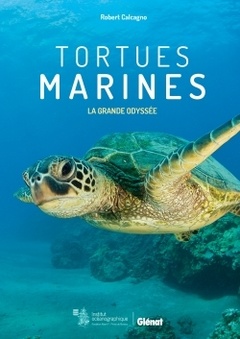 Cover of the book Tortues marines