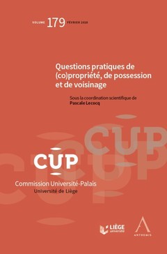 Cover of the book QUESTIONS PRATIQUES DE (CO)PROPRIETE, DE POSSESSION ET DE VOISINAGE