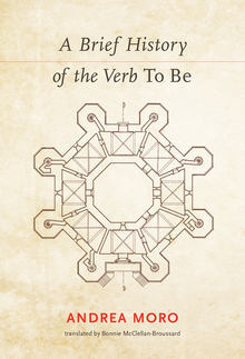 Cover of the book A Brief History of the Verb To Be