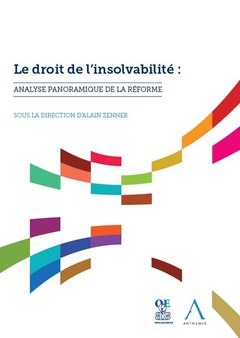 Couverture de l’ouvrage LE DROIT DE L INSOLVABILITE : ANALYSE PANORAMIQUE DE LA REFORME