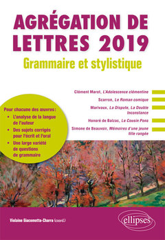 Couverture de l’ouvrage Grammaire et stylistique - Agrégation de lettres 2019