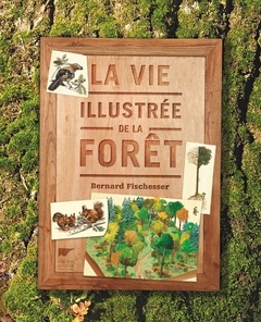 Cover of the book La Vie illustrée de la forêt