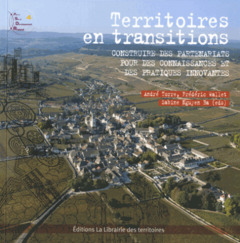 Cover of the book Terriroires en transitions