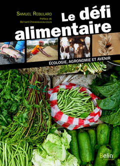 Cover of the book Le défi alimentaire