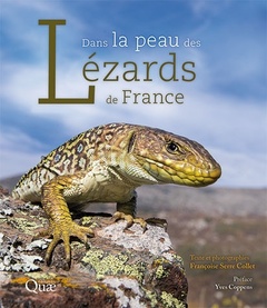 Cover of the book Dans la peau des lézards de France
