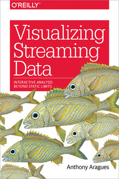 Couverture de l’ouvrage Visualizing Streaming Data