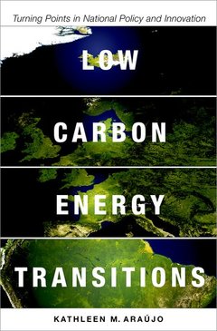 Couverture de l’ouvrage Low Carbon Energy Transitions