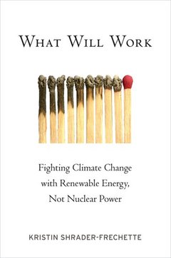 Cover of the book What Will Work