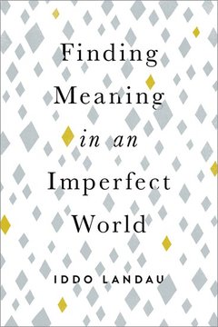 Couverture de l’ouvrage Finding Meaning in an Imperfect World