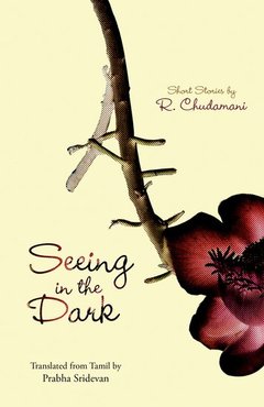 Cover of the book Seeing in the Dark