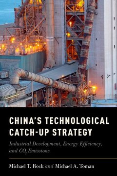 Couverture de l’ouvrage China's Technological Catch-Up Strategy