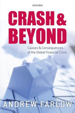 Cover of the book Crash and Beyond